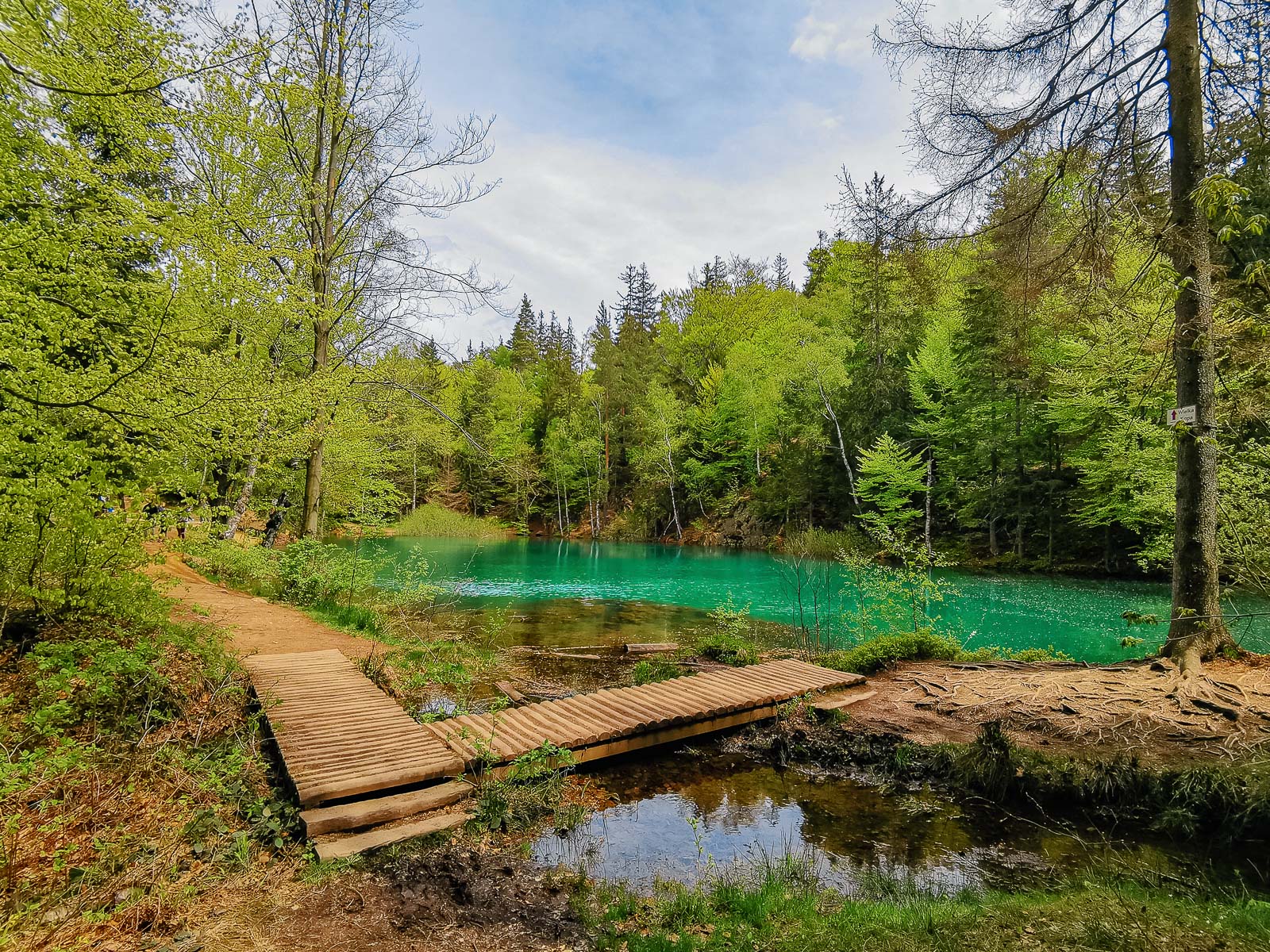 purpurowe. parking, cennik, z dziećmi, dolny śląsk