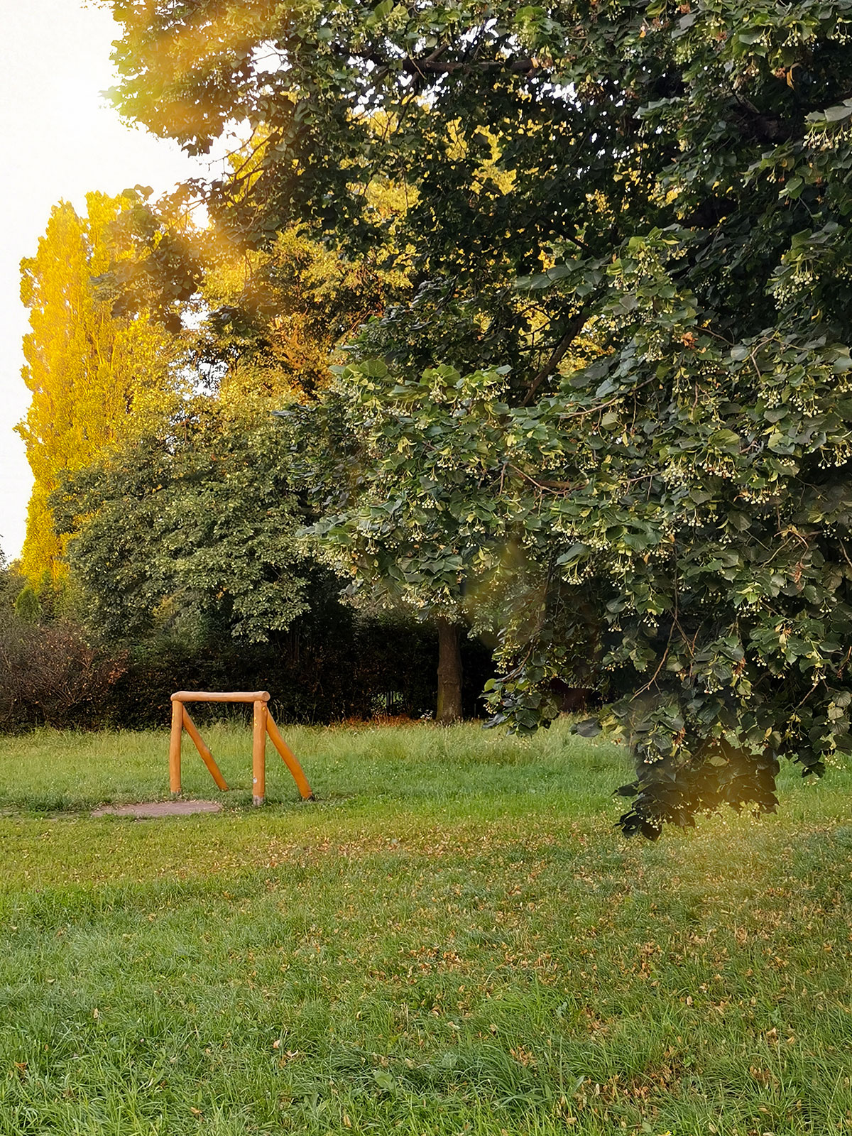 wrocław-na-niskich-łąkach-przedmieście-oławskie-park-plac-zabaw-dla-dzieci-ahoj-przygodo